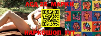 кокс Кандалакша