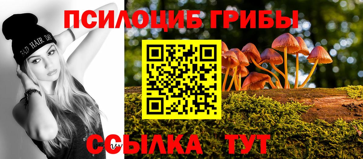 Галлюциногенные грибы Psilocybine cubensis Гагарин