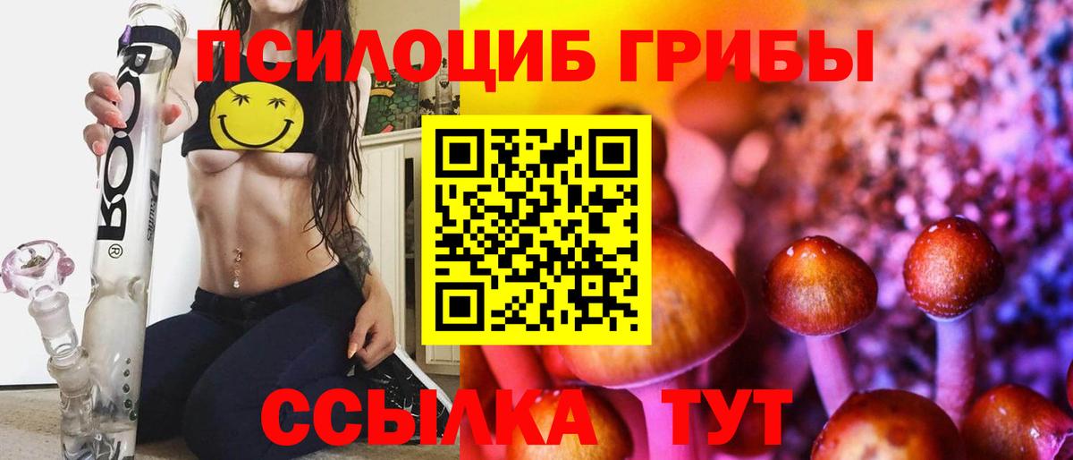 Гагарин  Псилоцибиновые грибы прущие грибы  Вход с VPN 